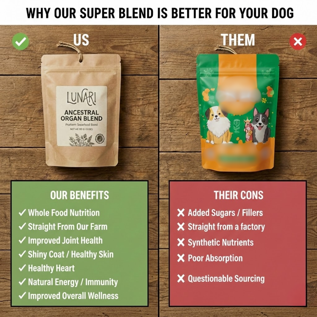 Lunari Ancestral Organ Blend